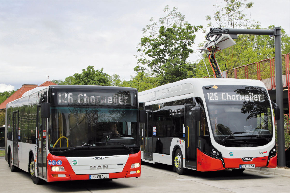 Diesel- und E-Bus stehen nebeneinander